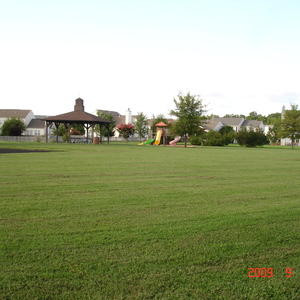 DSC05616.jpg