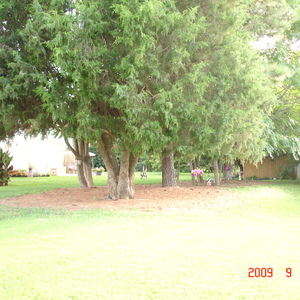 DSC05617.jpg