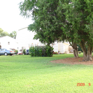 DSC05618.jpg