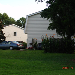 DSC05619.jpg