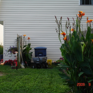 DSC05620.jpg