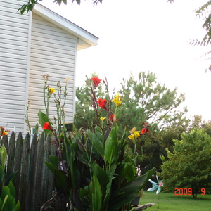 DSC05621.jpg