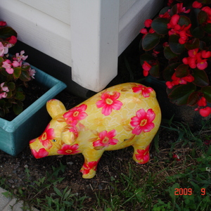 DSC05624.jpg
