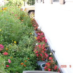 DSC05625.jpg
