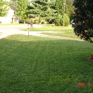 DSC05626.jpg