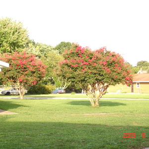 DSC05627.jpg