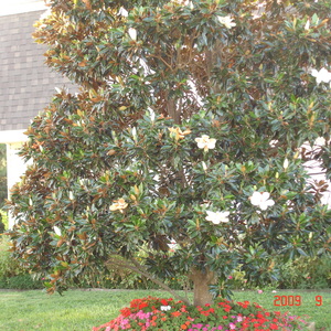 DSC05628.jpg