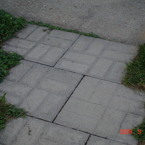 DSC05632.jpg