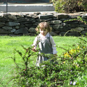 img_0773.jpg