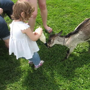 2009_Friendly-Farm
