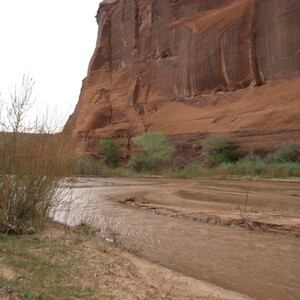 IMG_0301.JPG