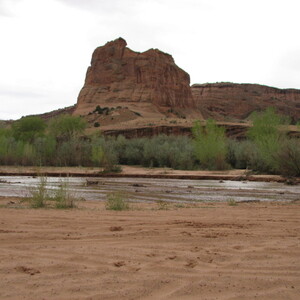 IMG_0318.JPG