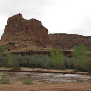 IMG_0323.JPG