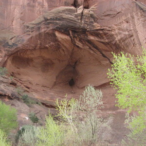 IMG_0335.JPG