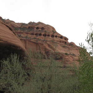 IMG_0337.JPG