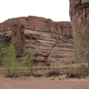 IMG_0338.JPG