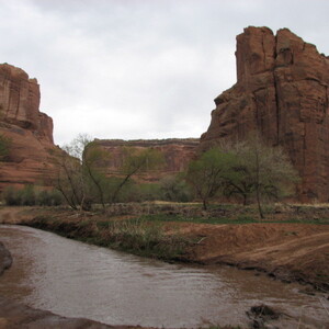 IMG_0352.JPG