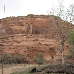 IMG_0356.JPG