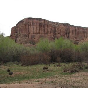 IMG_0357.JPG