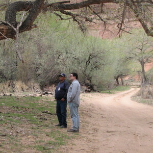 IMG_0382.JPG