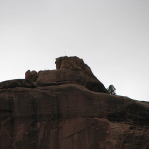 IMG_0386.JPG
