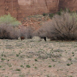 IMG_0388.JPG
