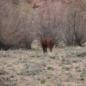IMG_0389.JPG