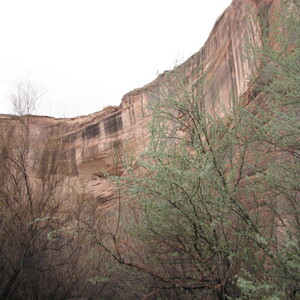 IMG_0391.JPG