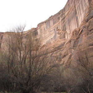 IMG_0392.JPG