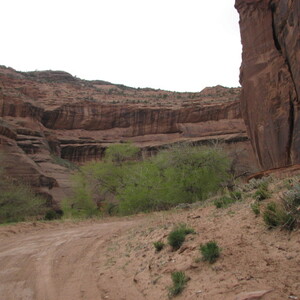 IMG_0397.JPG