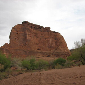 IMG_0414.JPG