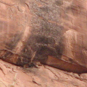 IMG_0416.JPG