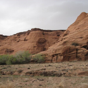 IMG_0425.JPG