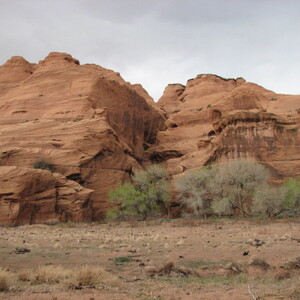 IMG_0427.JPG