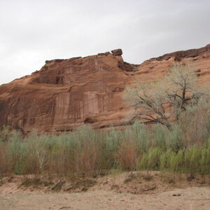 IMG_0428.JPG