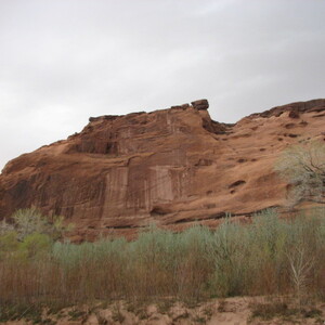 IMG_0429.JPG