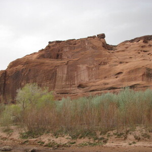 IMG_0430.JPG