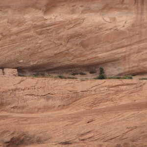 IMG_0433.JPG