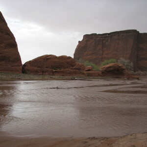 IMG_0441.JPG