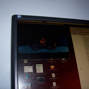2009_Sillly_Bella