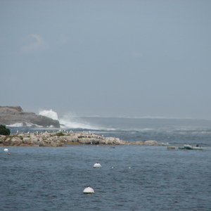 img_0867.jpg