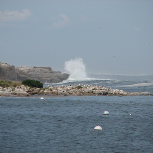 img_0868.jpg