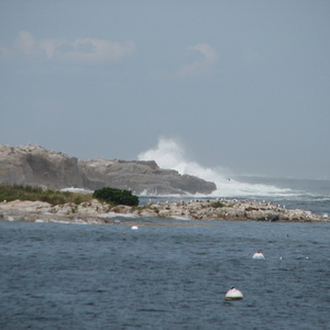 img_0869.jpg