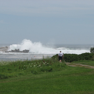 img_0870.jpg