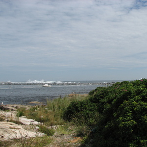 img_0877.jpg
