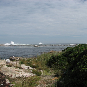 img_0881.jpg
