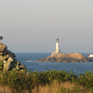 img_0890.jpg