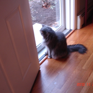 dsc00962.jpg