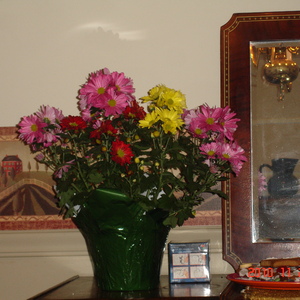 dsc00976.jpg