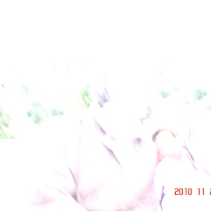dsc01000.jpg